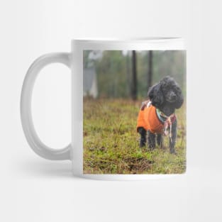 Suburban poodles Mug